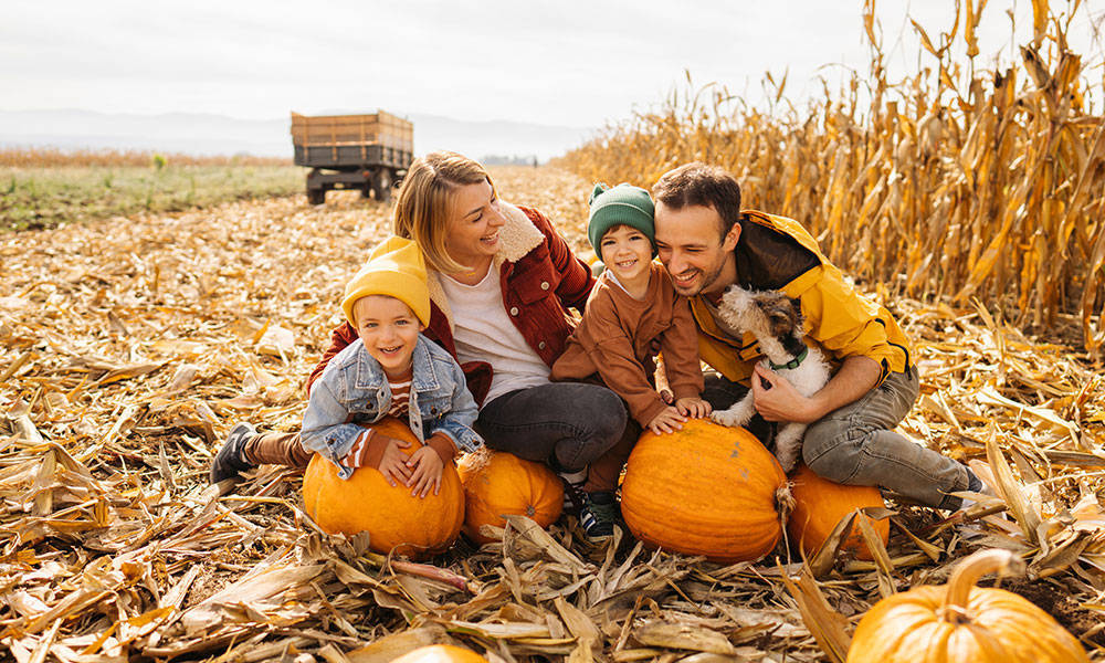 family of 4 enjoying time together at the pumpkin patch