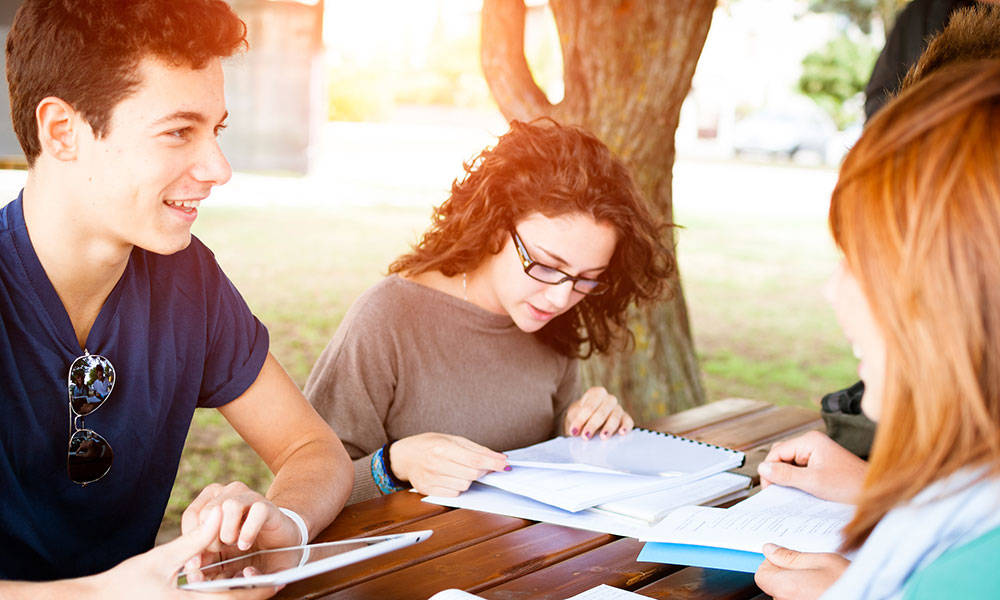 college students studying outdoors
