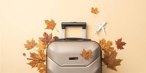 Holiday Travel