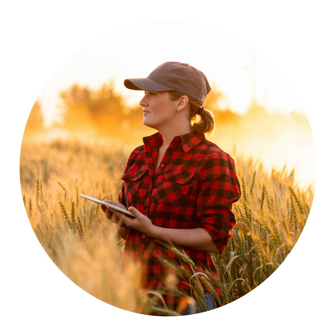 A woman farmer examines the field and sends data to the cloud from the tablet.