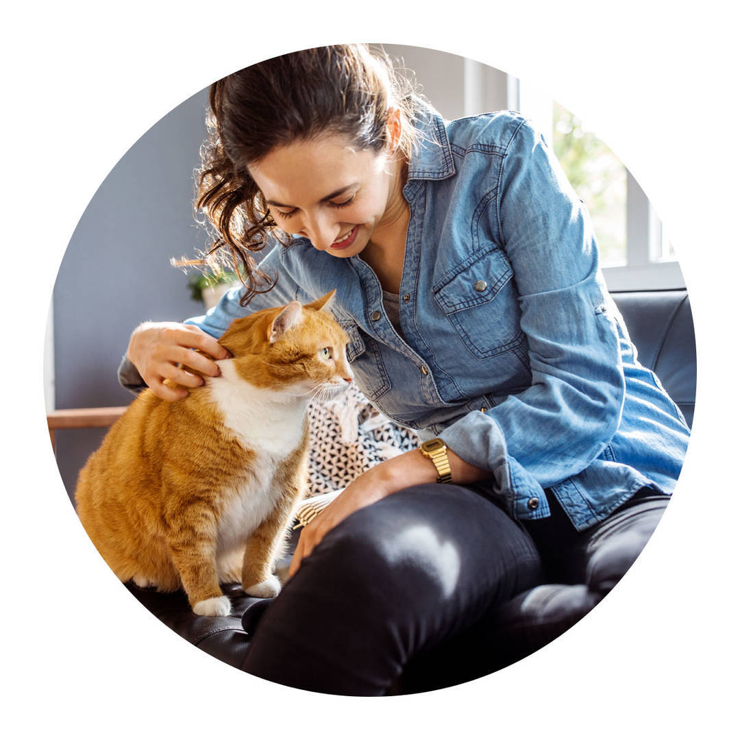 Young woman caressing her pet cat while sitting on couch in living room.