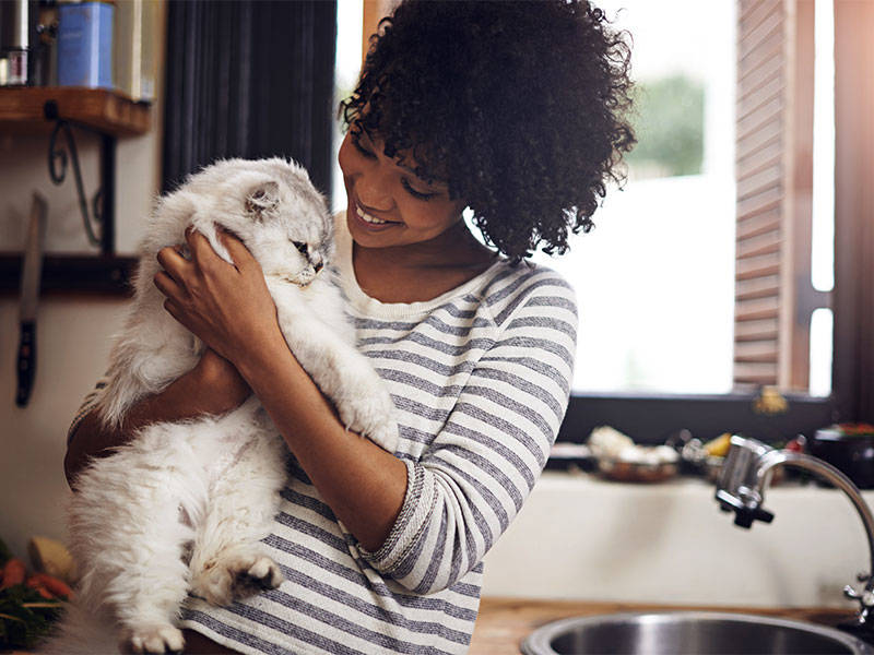 A happy young woman holding her fluffy white cat in the kitchen.