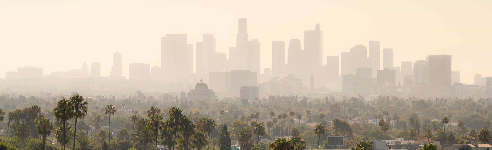 BRAND_LA_Skyline_1700x520